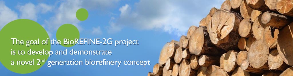 BioRefine 2G